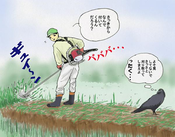最近スズメを見かけないのは君らのせいか？