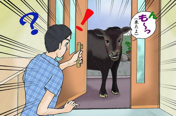 基本的に、わが家はお客さん大歓迎です。