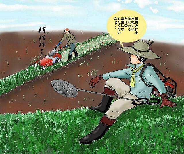 周囲の耕作放棄地は増えるばかりです。