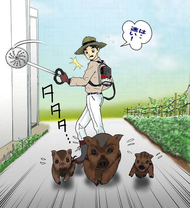 素人が捕まえるのは無理！