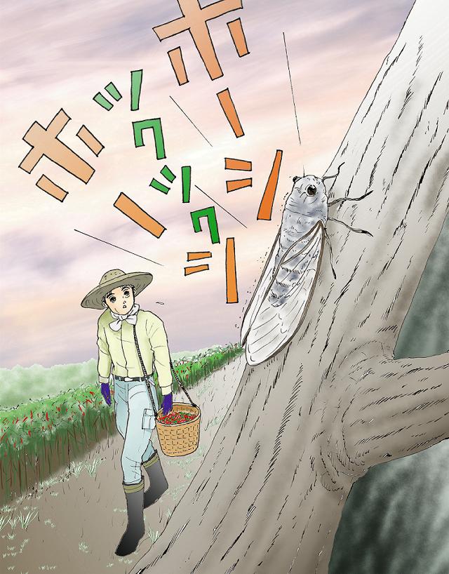 蝉の声