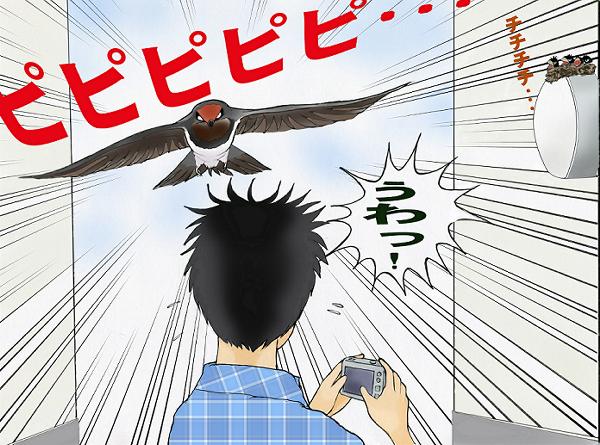 恐怖！羽が髪をかすめた！